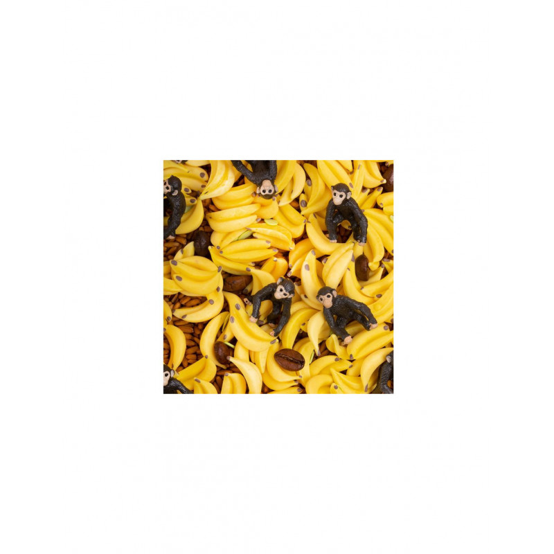 Bouteille Sensorielle Singe - Petit Boum