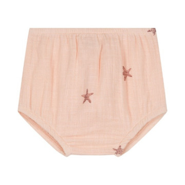 Bloomer Ami rose étoile de...