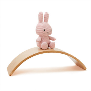 Planche d'équilibre + 10...