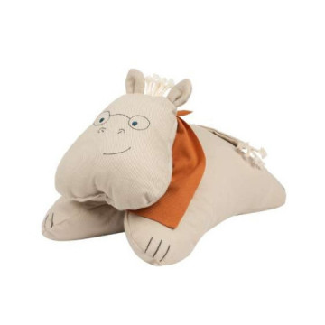 Coussin professeur...