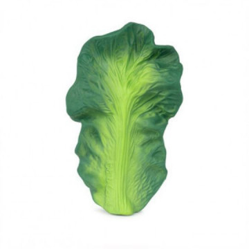 Anneau de dentition Kendall...