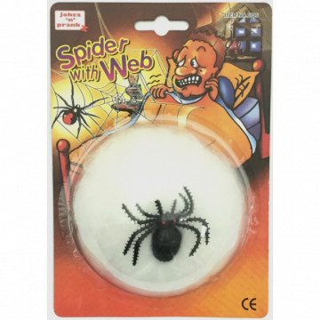 Araignée avec sa toile - Le...