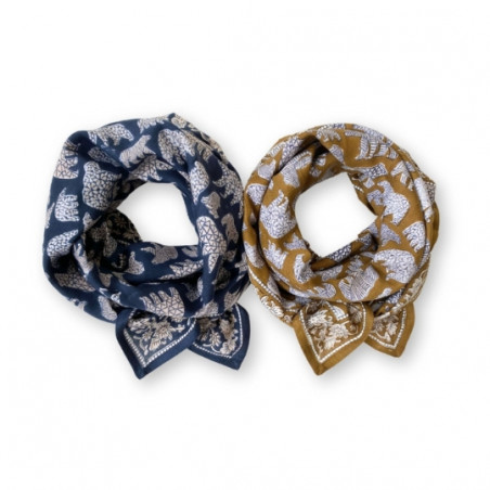 Foulard, APACHES