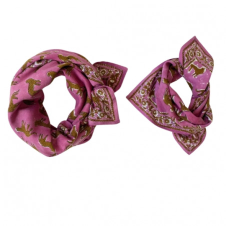 Foulard, APACHES