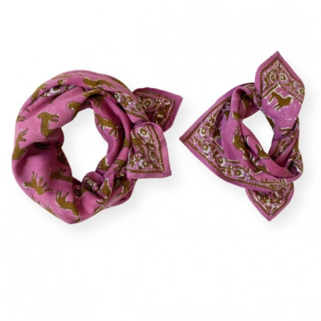 Foulard, APACHES