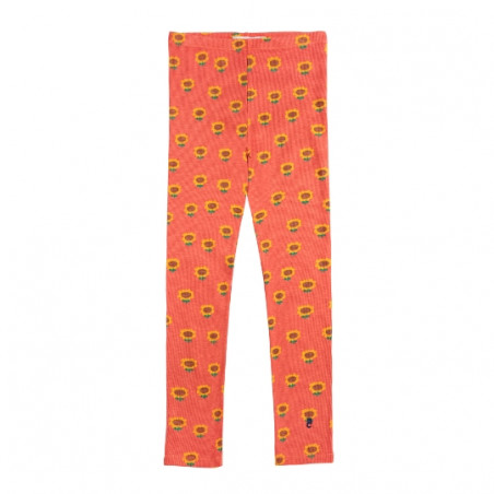 Legging, Bobo Choses