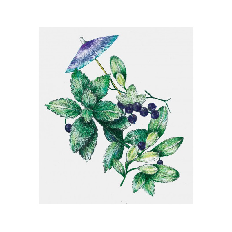 Bougie Menthe Poivrée - Kerzon