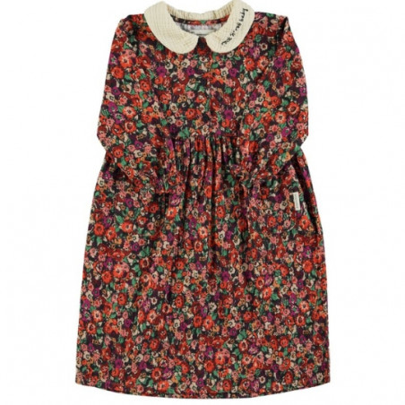 Robe, Piupiuchick Robe, Piupiuchick