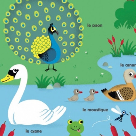 Livre, Poppik