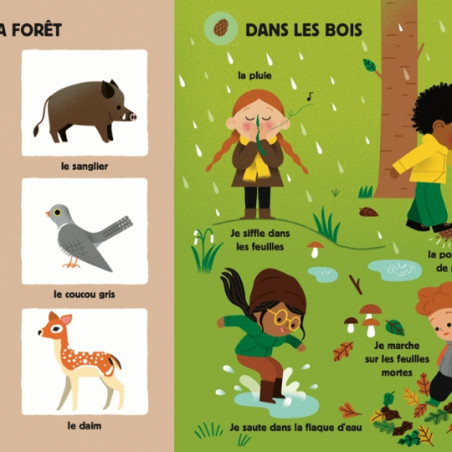 Livre, Poppik