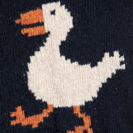 Cardigan, Bobo Choses