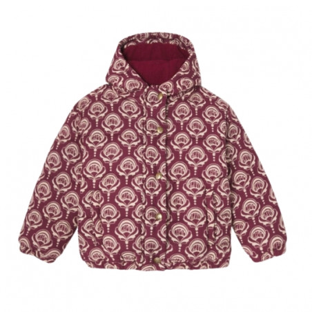 Manteau, APACHES