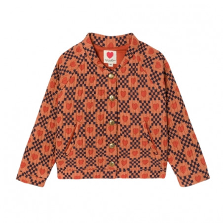 Veste, APACHES