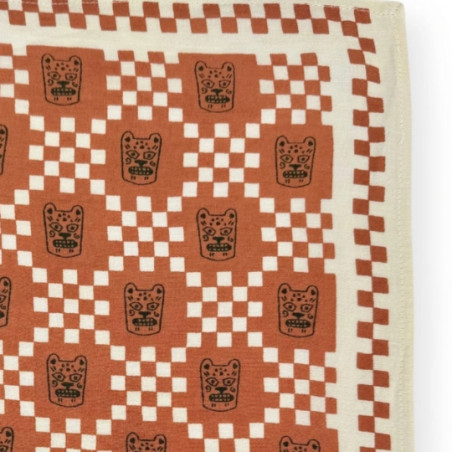 Foulard, APACHES