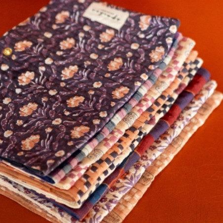 Protège-carnet de santé, APACHES