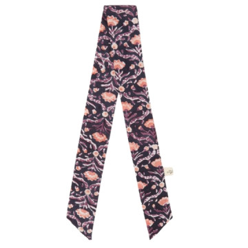 Apaches Collections :...