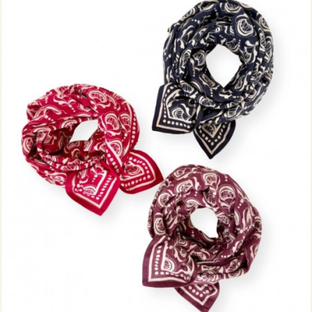 Foulard, APACHES