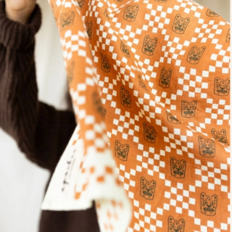 Foulard, APACHES