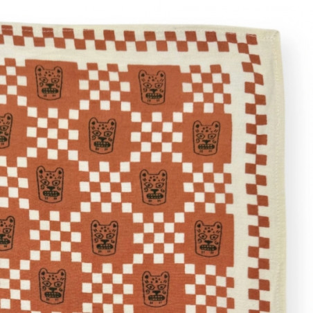 Foulard, APACHES
