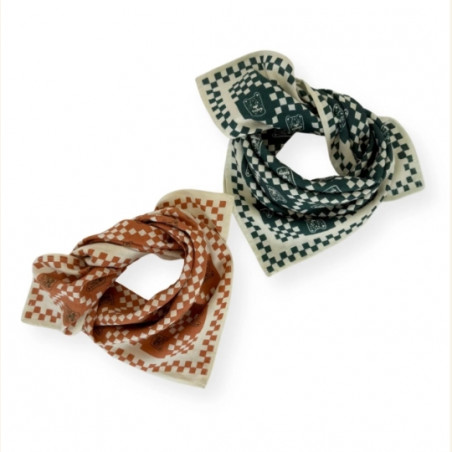 Foulard, APACHES
