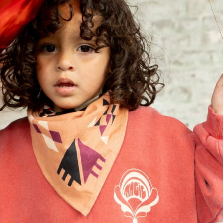Foulard, APACHES