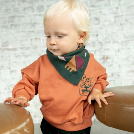 Foulard, APACHES