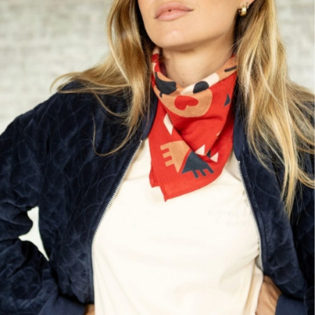 Foulard, APACHES