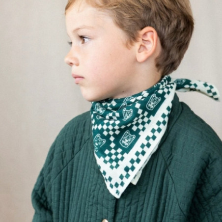 Foulard, APACHES