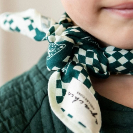 Foulard, APACHES