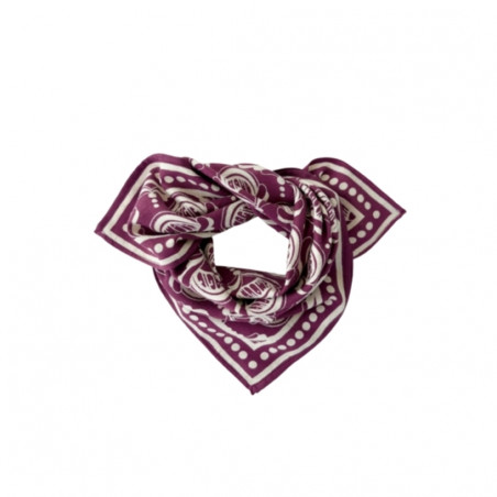 Foulard, APACHES