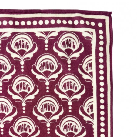 Foulard, APACHES