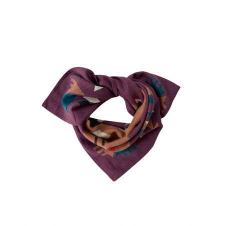 Foulard, APACHES