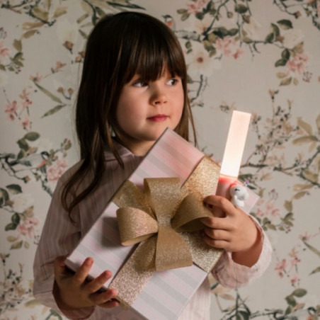 Lampe torche, THE ZOOFAMILY