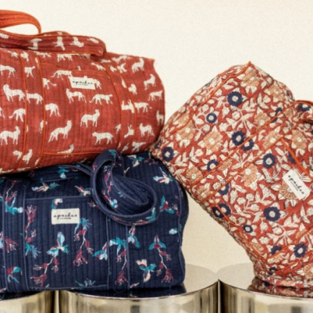 Sac week-end, APACHES