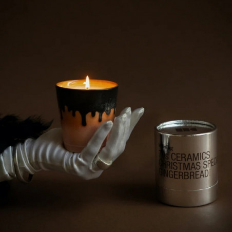 Produits a traiter, HK LIVING