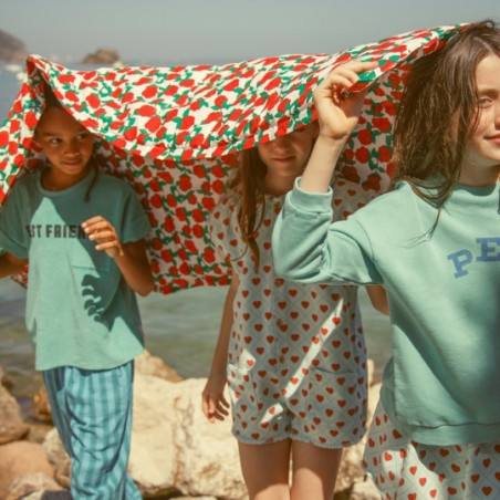 Sweat-shirt, Piupiuchick