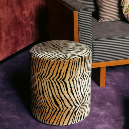 Fauteuil, THE SOCIALITE FAMILY