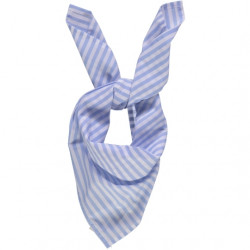 Poudre Organic : Foulard Jacinthe - rayures bleues
