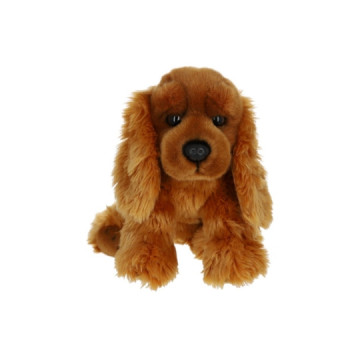 Le Petit Souk : Cocker...