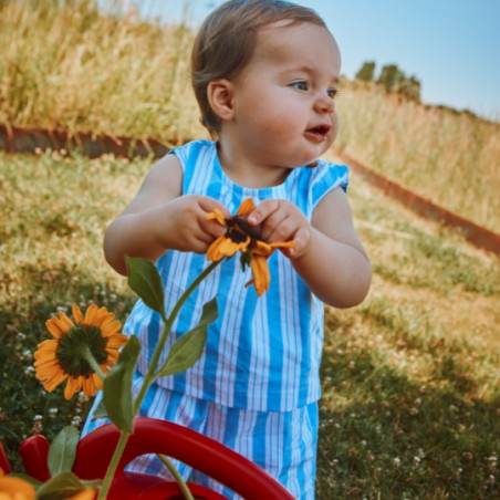 Short, Poudre Organic