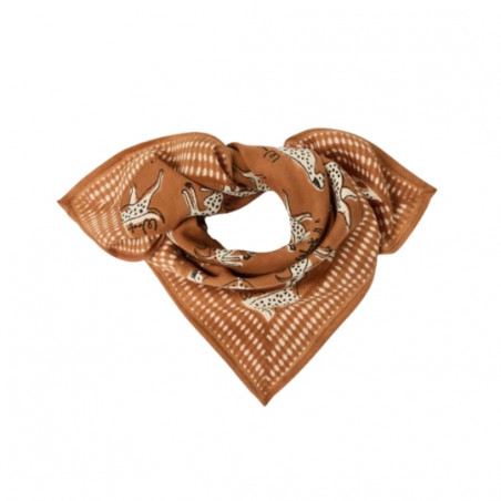 Foulard, APACHES