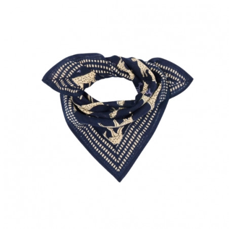 Foulard, APACHES