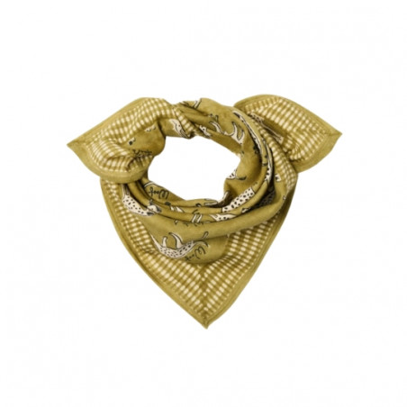 Foulard, APACHES
