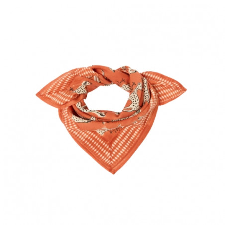 Foulard, APACHES