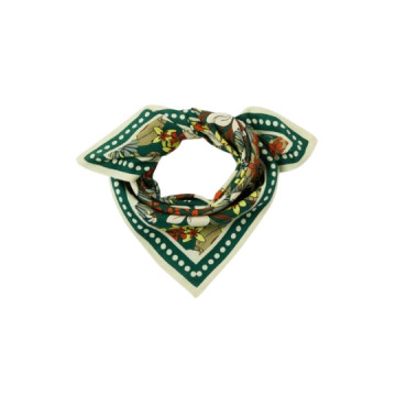 Apaches Collections : Small...