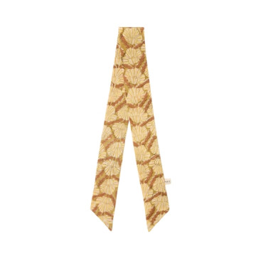 Apaches Collections : Ruban...