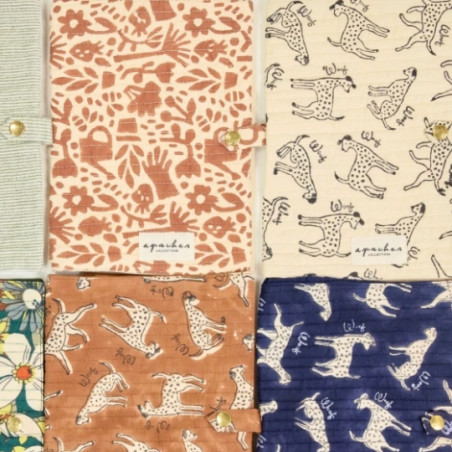 Protège-carnet de santé, APACHES