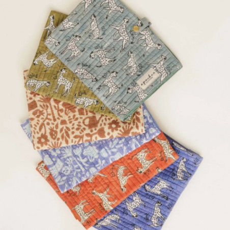 Protège-carnet de santé, APACHES