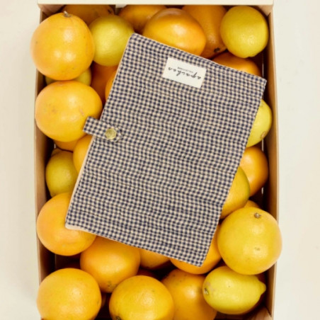 Protège-carnet de santé, APACHES