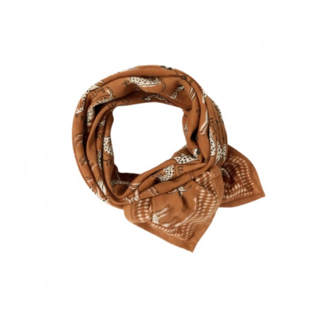 Foulard, APACHES